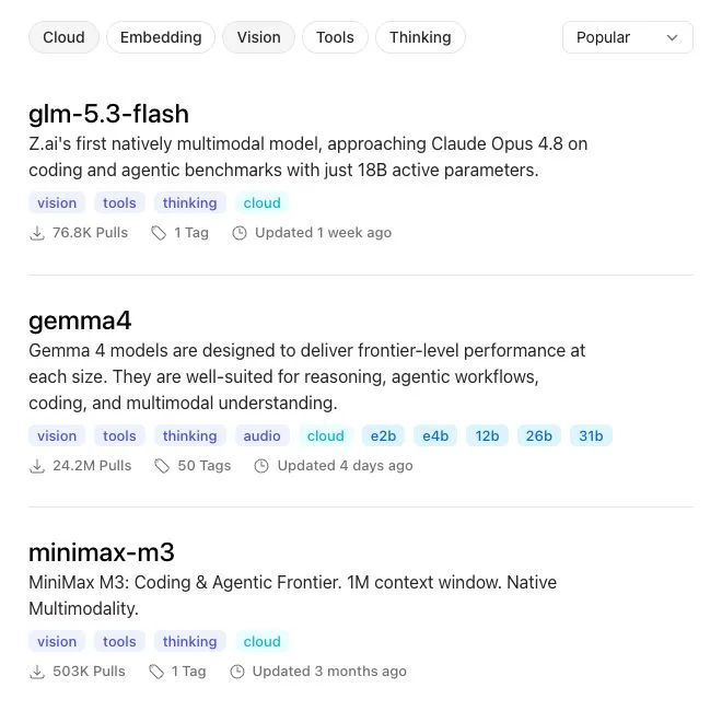 Ollama のモデル検索で Cloud と Vision を指定した結果